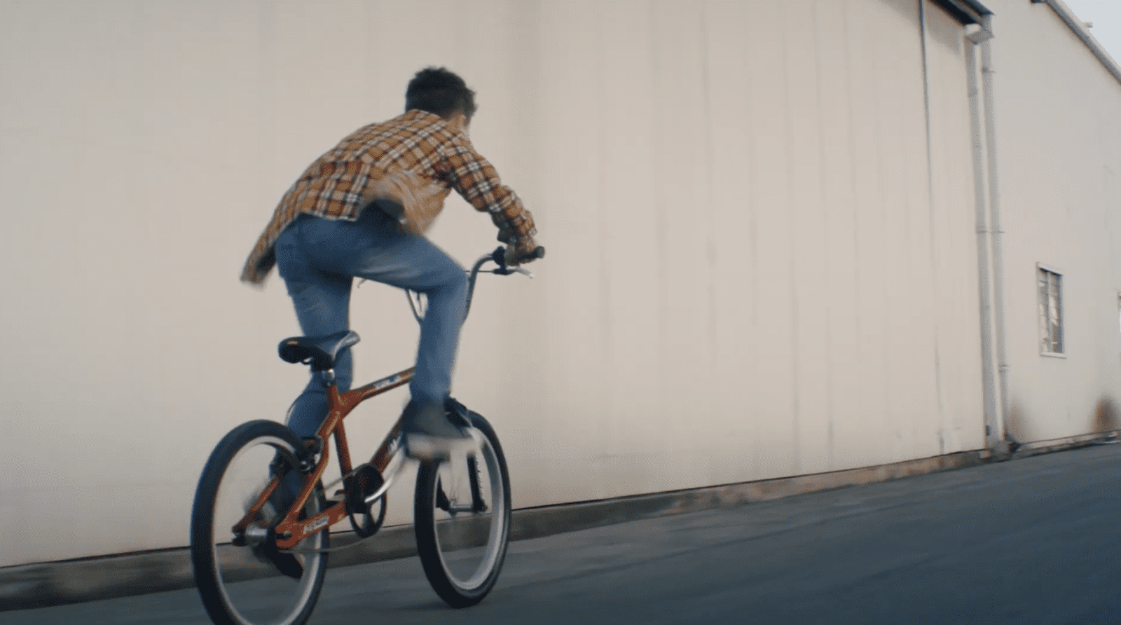 Awakening the Mystic: A Journey of Cosmic Love and Healing